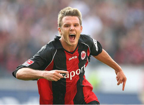 涯中总共有 涯中总共有